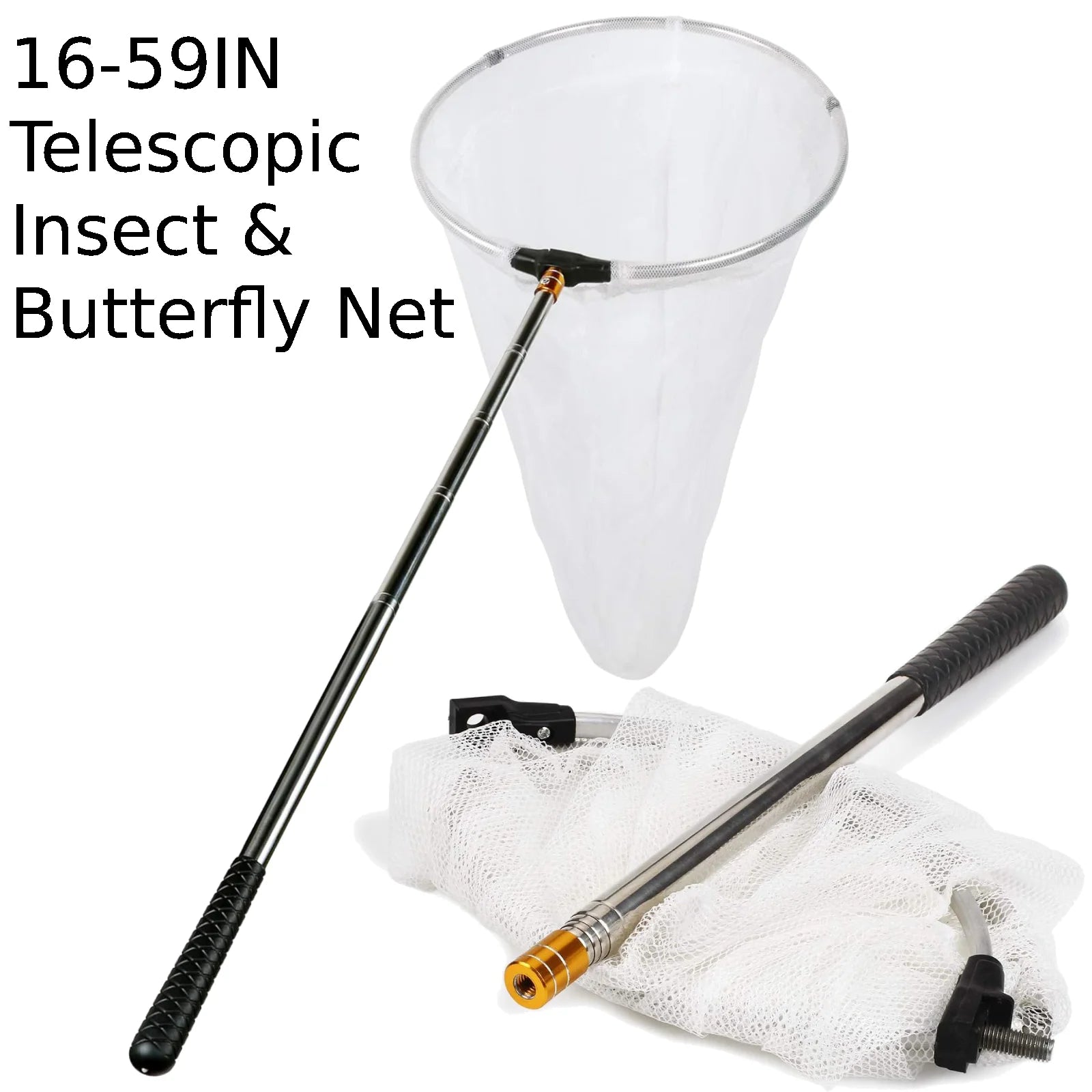Red Profesional para Insectos y Mariposas