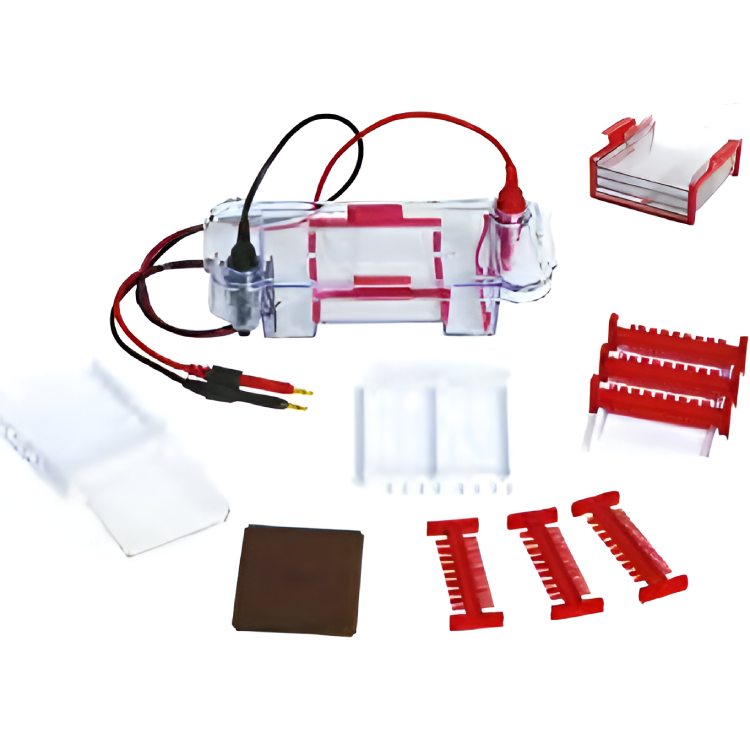 Cámaras para Electroforesis en Gel Tanon